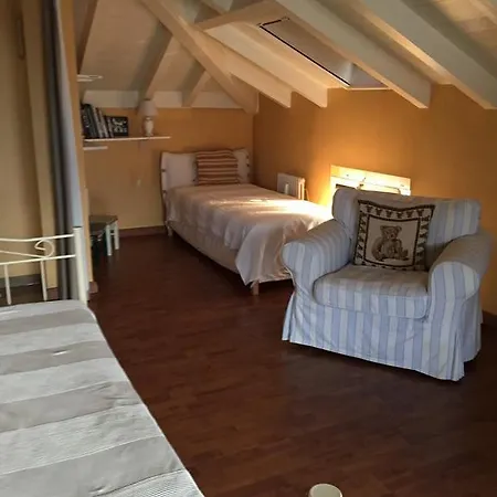 Dependance Yucca Apartament Ascona